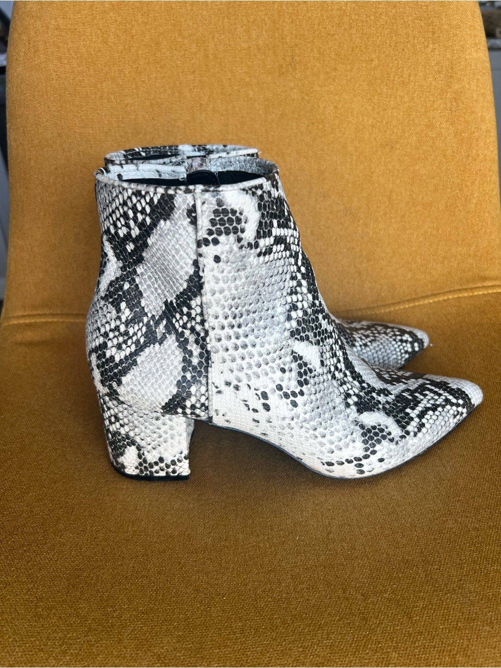 Steve Madden White and Black Snake-Print Pointed Ankle Boots